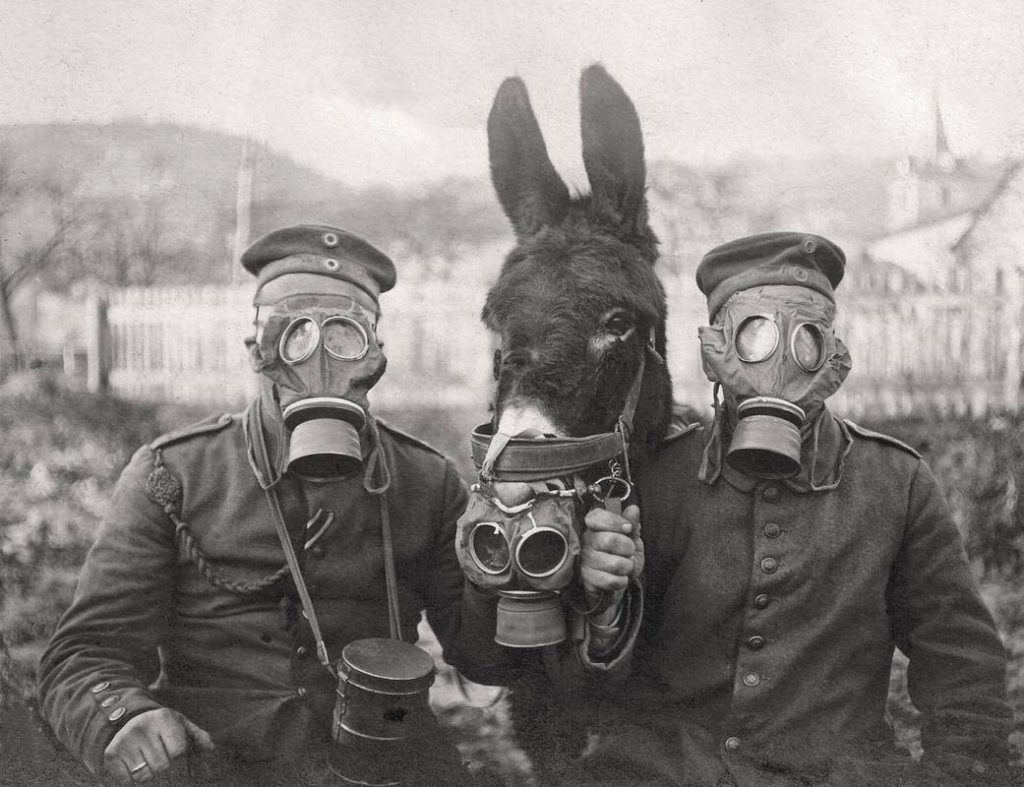 ezel met gasmasker, Duitse soldaten, 1917 foto via link 