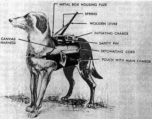Anti-tank honden, ingezet tijdens WOII