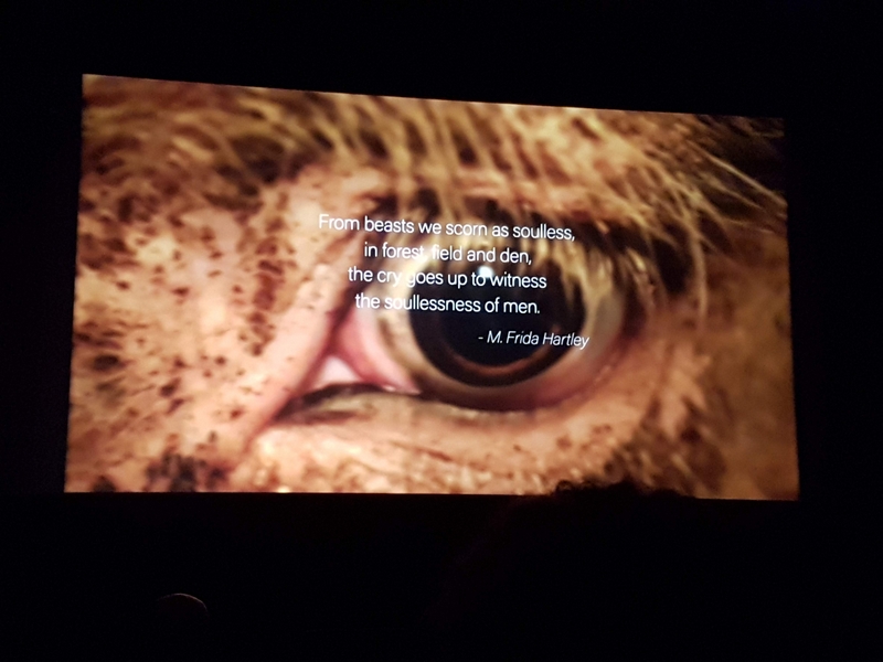 Close up of an eye of an animal, with the text centered in white letters