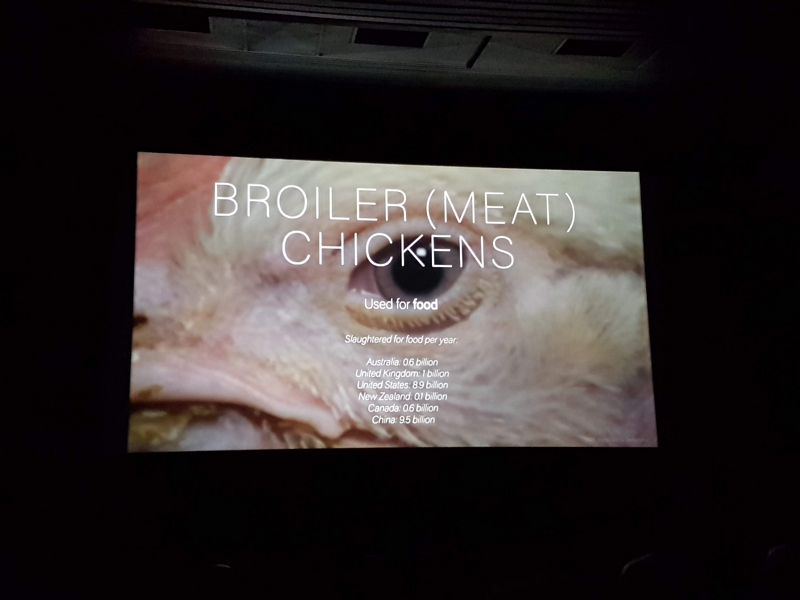 Close up of the eye of a white chicken, with the text centered in white letters
